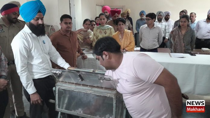 Untitled design (17)