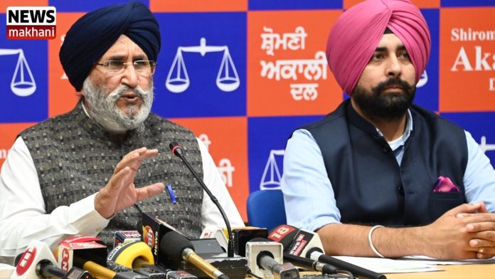 Untitled design (26)