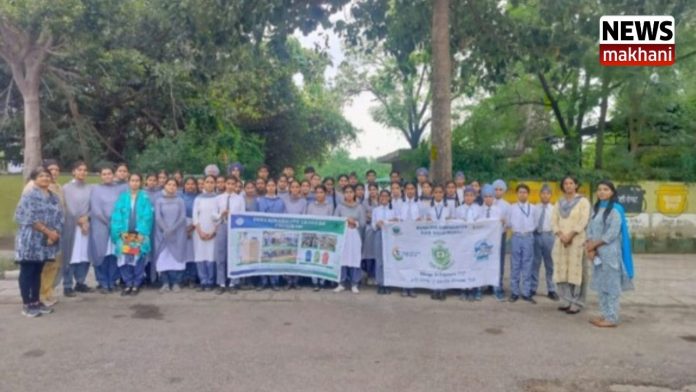 Untitled design (27)