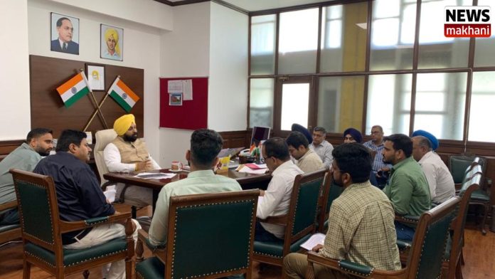 Untitled design (33)