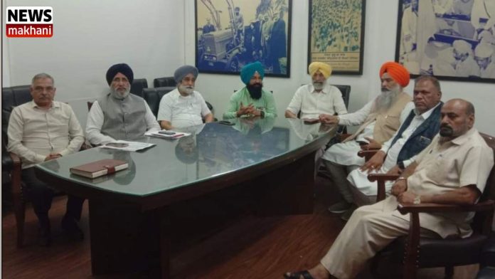 Untitled design (36)