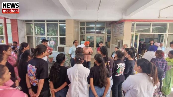 Untitled design (43)