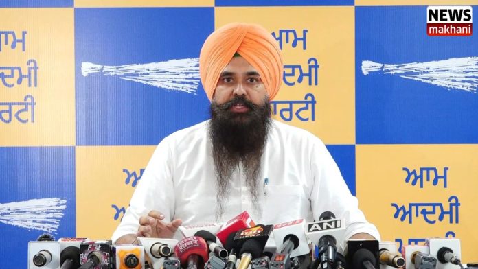 Untitled design (43)