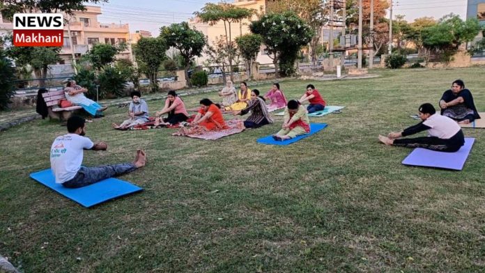 Untitled design (50)