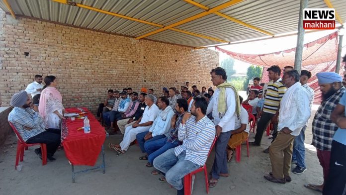 Untitled design (58)