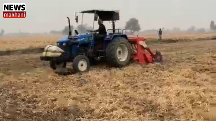 Untitled design (61)