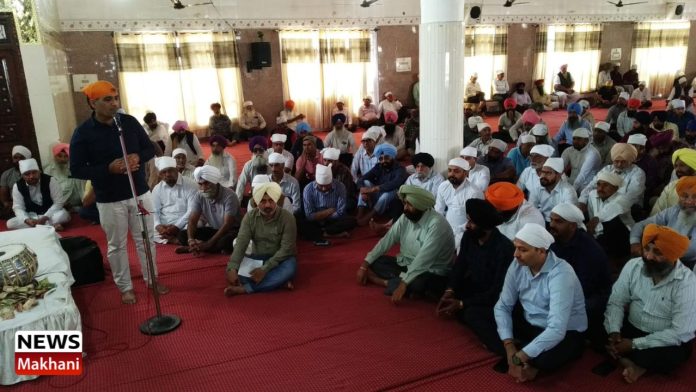 Untitled design (61)