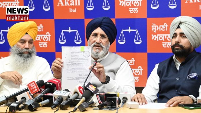 Untitled design (64)