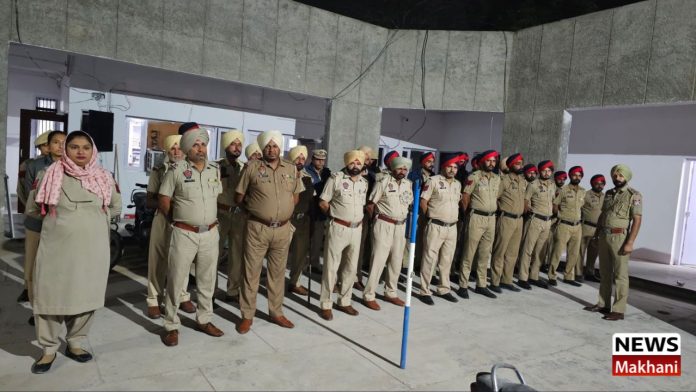 Untitled design (88)