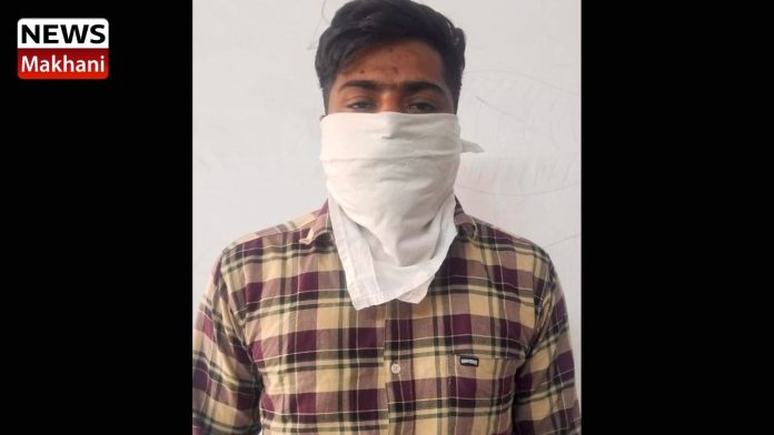 Untitled design (88)