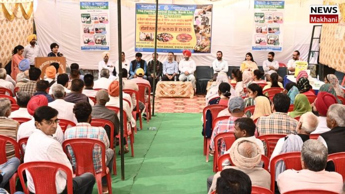 Untitled design (100)