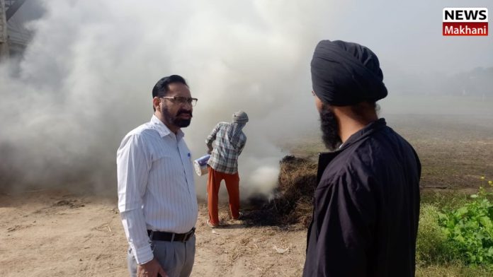 Untitled design (11)