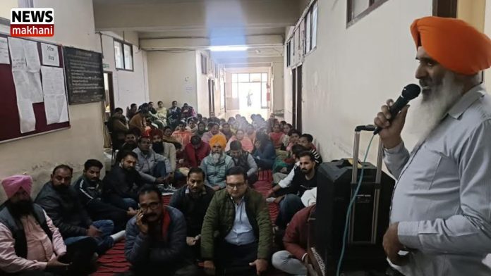 Untitled design (12)