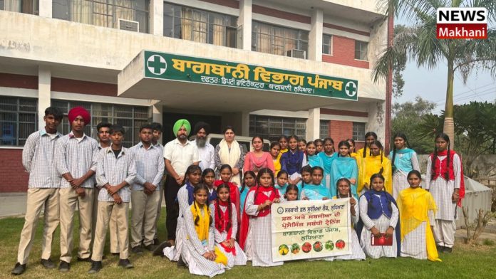 Untitled design (13)