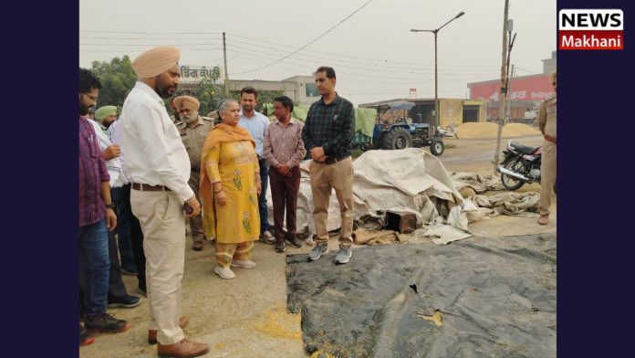 Untitled design (14)