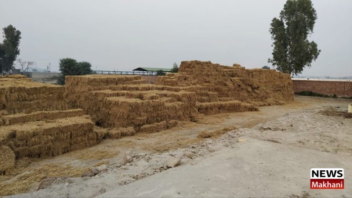 Untitled design (17)