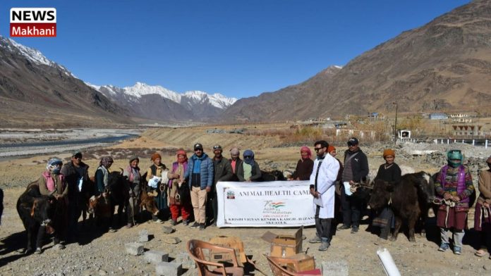 Untitled design (17)