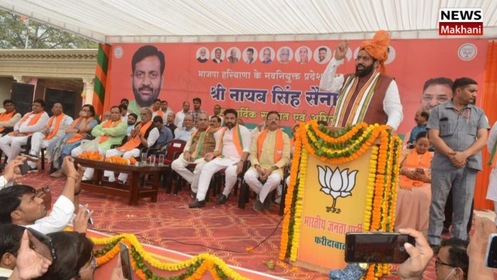 Untitled design (17)