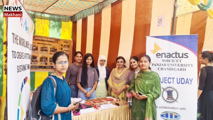 Untitled design (18)