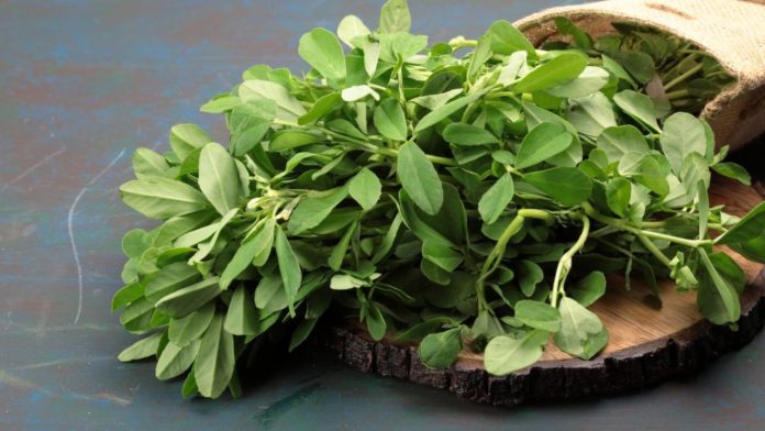 Untitled design - 2023-11-27T230054.063