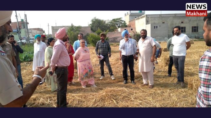 Untitled design (28)