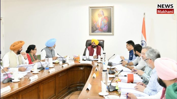 Untitled design (29)