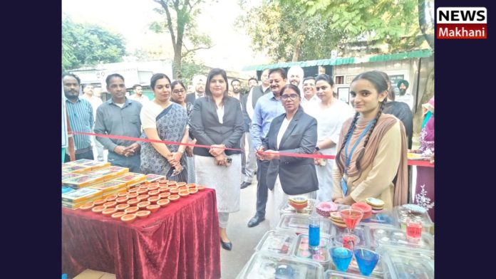 Untitled design (29)