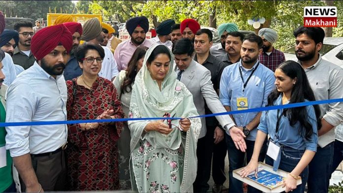 Untitled design (32)