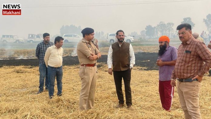 Untitled design (32)