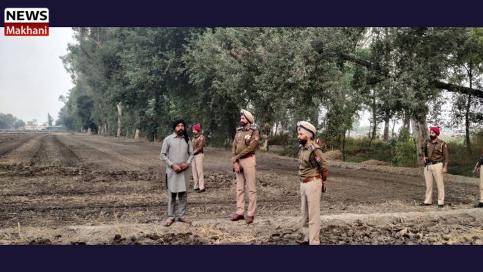 Untitled design (41)