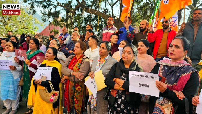 Untitled design (43)