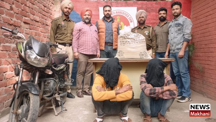 Untitled design (46)