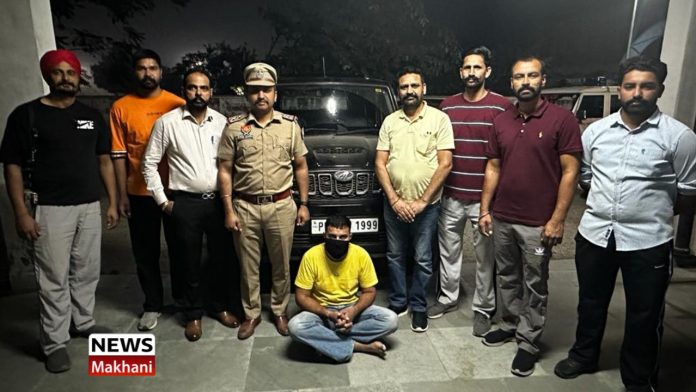 Untitled design (47)