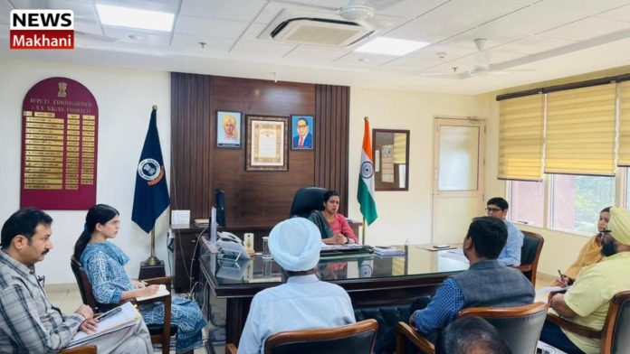 Untitled design (47)