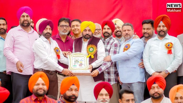 Untitled design (49)