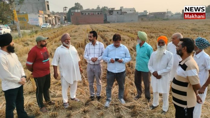 Untitled design (52)