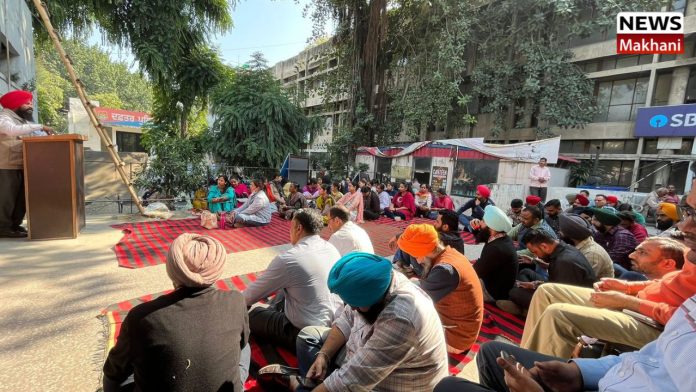 Untitled design (53)