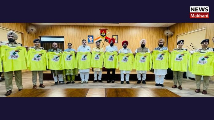 Untitled design (61)