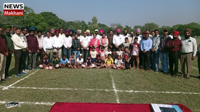 Untitled design (62)