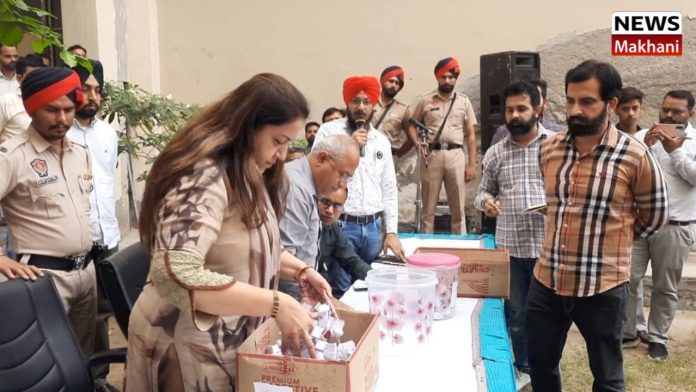 Untitled design (72)