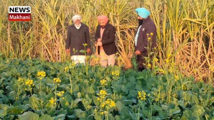 _Dr. Gurbachan Singh