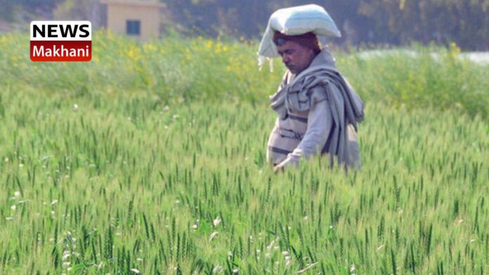 Flagship Agricultural Schemes