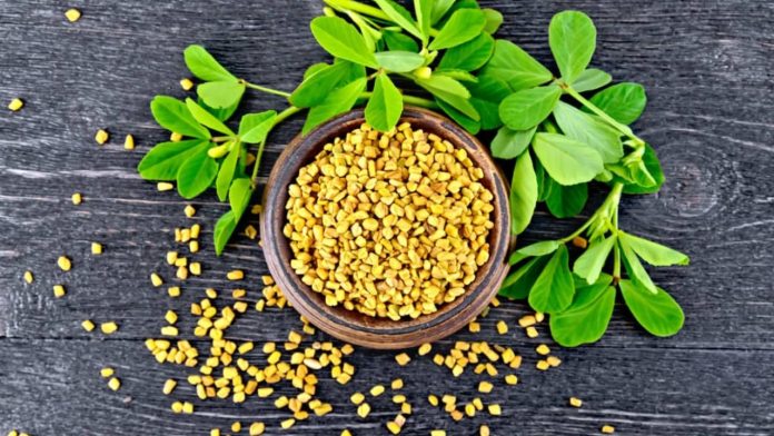 Untitled design - 2023-12-02T204911.617