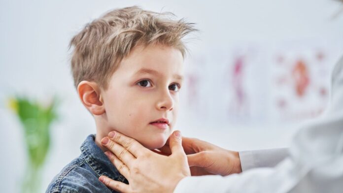 Untitled design - 2023-12-16T191532.355