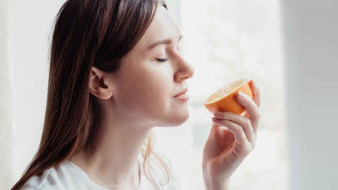 Untitled design - 2023-12-26T215005.357