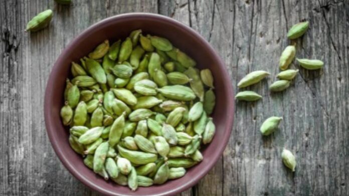 Untitled design - 2023-12-26T215727.494