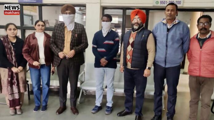 Untitled design (25)