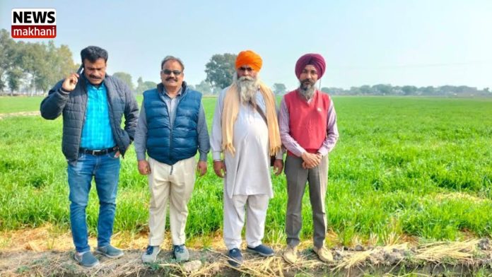 Untitled design (26)