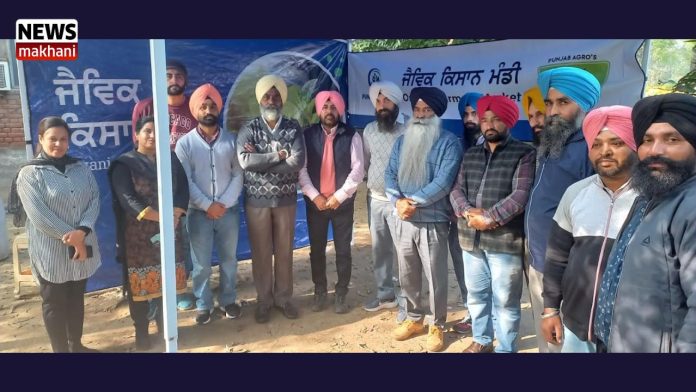 Untitled design (39)