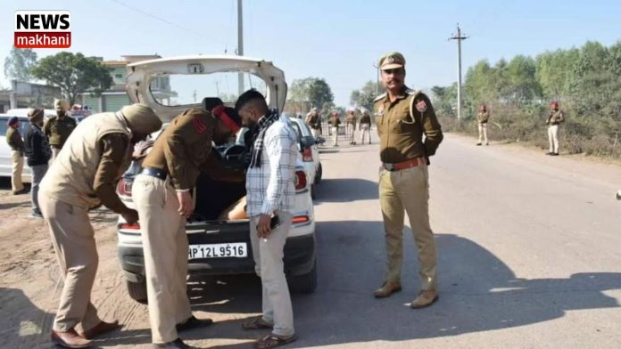 Untitled design (43)